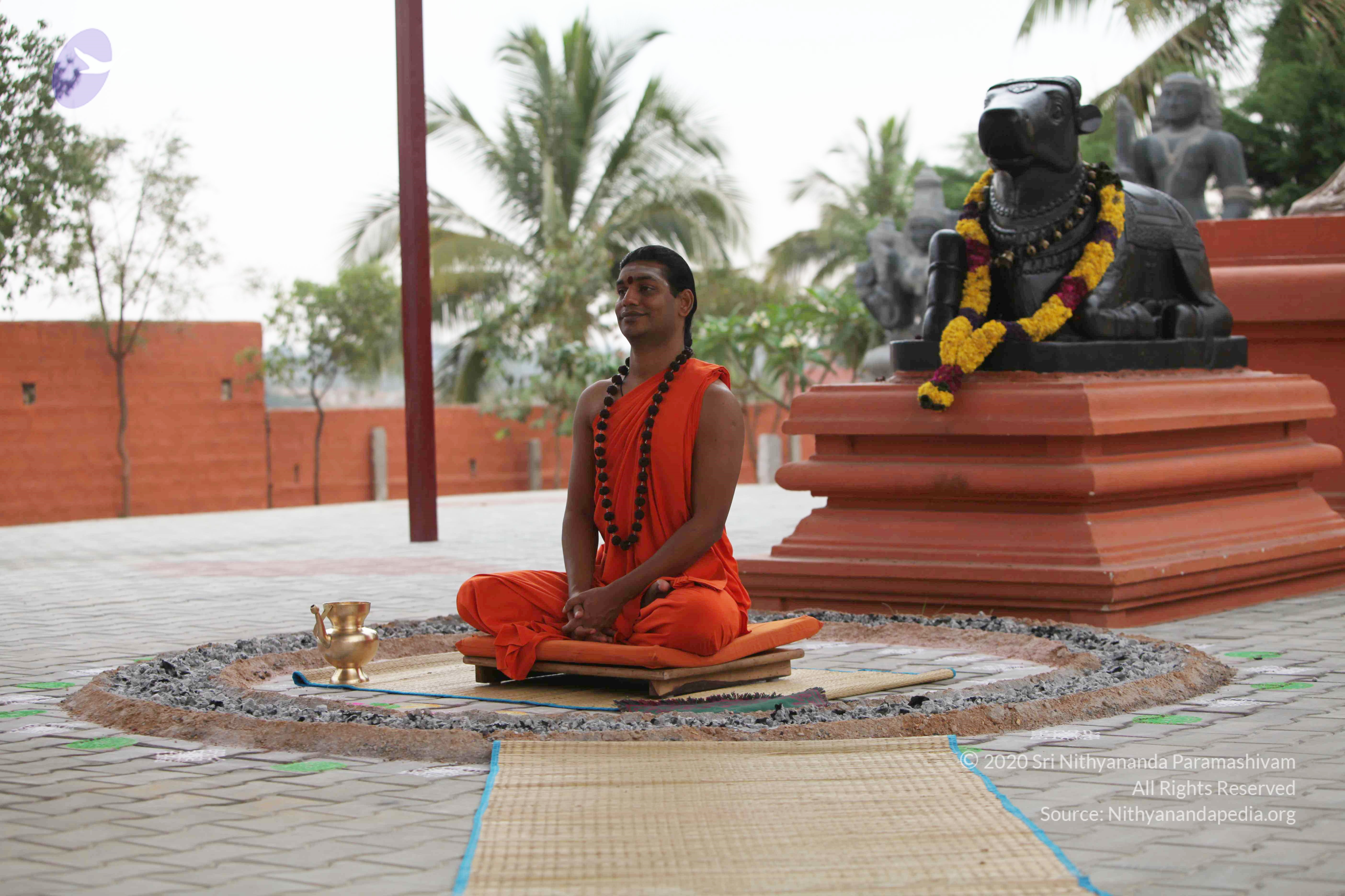 20110225_Photo_1102_IMG_0842_CMP_WM